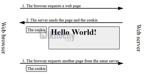  laravel cookie